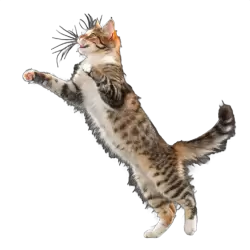 Imagen PNG para descargar